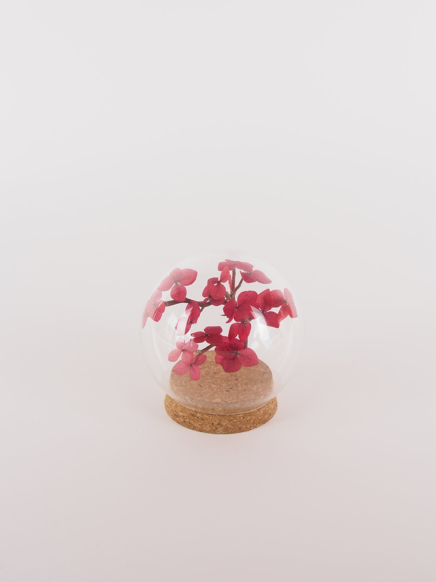 Dried Floral Mini Globes.