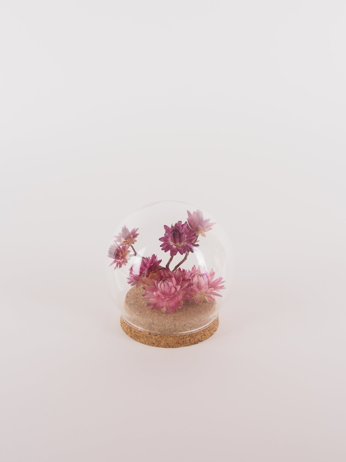 Dried Floral Mini Globe.
