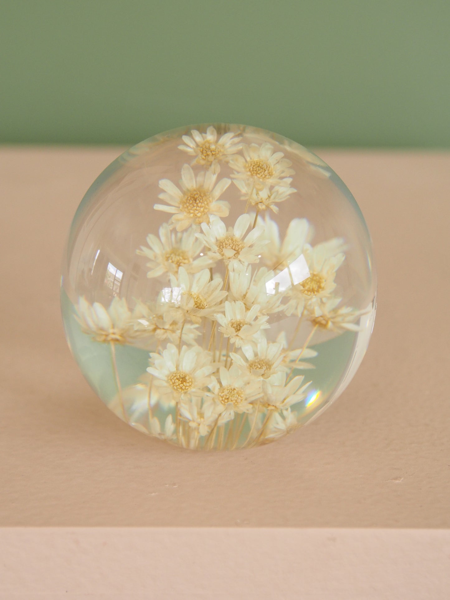 Daisy Flower Globe