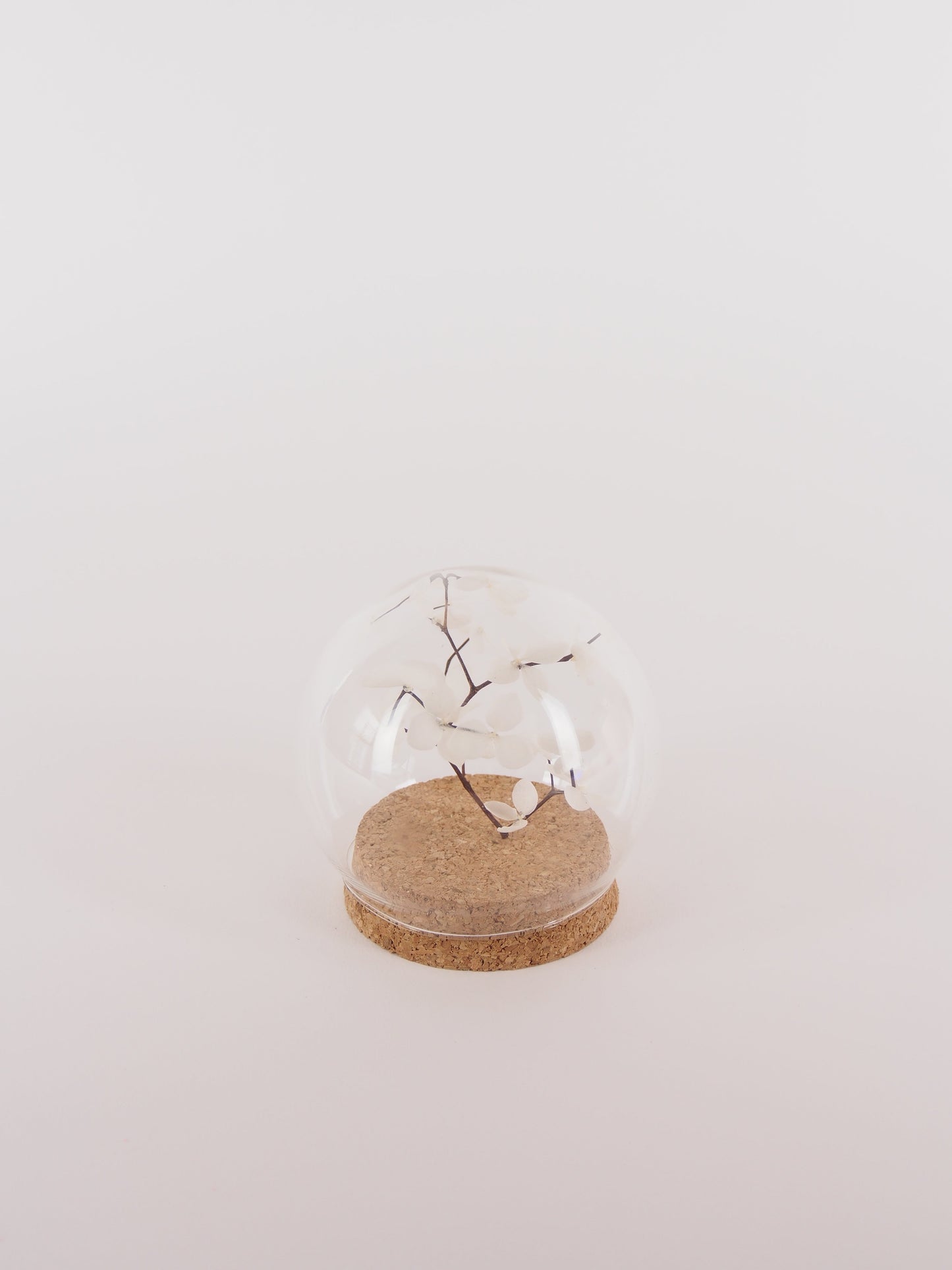 Dried Floral Mini Globe.