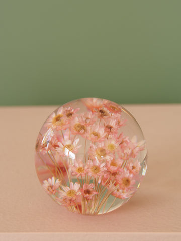 Pink Daisy Flower Globe