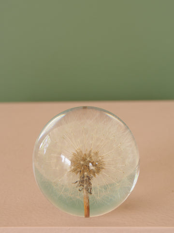 Dandy Flower Globe